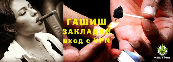 индика Алексин