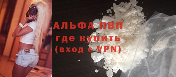 индика Алексин