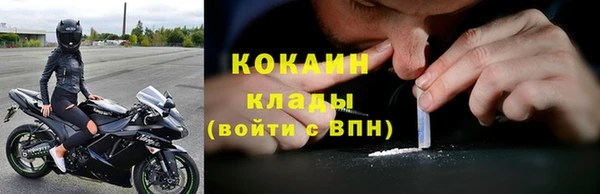 индика Алексин