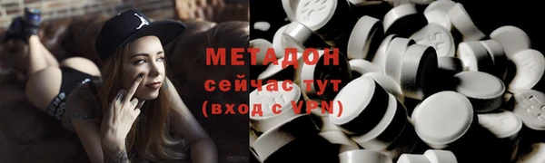 индика Алексин
