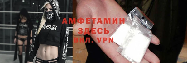 индика Алексин