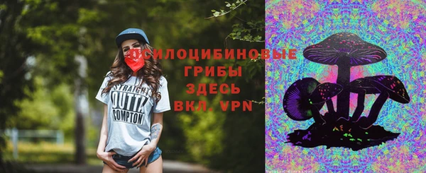 гидра Алзамай