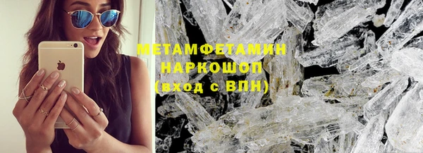 индика Алексин
