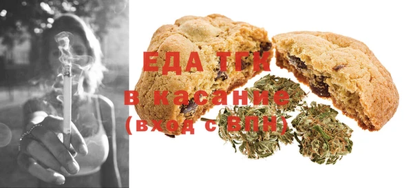 индика Алексин