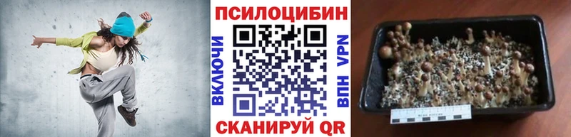 площадка официальный сайт  где купить наркоту  kraken как войти  Чёрмоз  Галлюциногенные грибы Psilocybine cubensis 